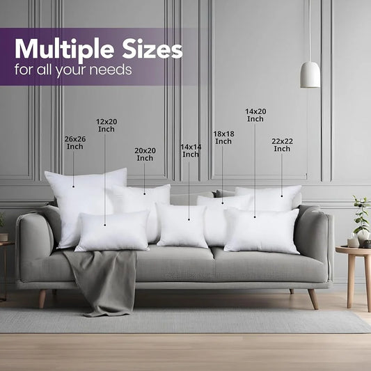 Pack of 2 White Throw Pillow Inserts