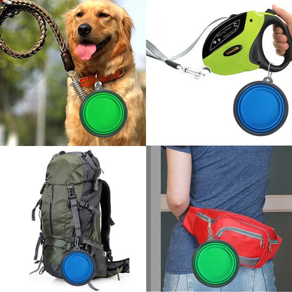 Collapsible Pet Food/ Water Bowl