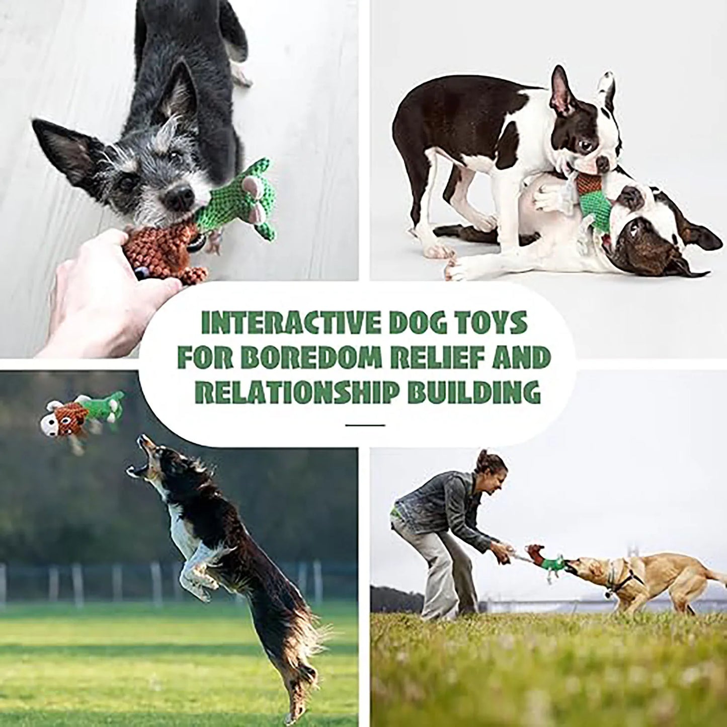 Double Headed Squeaky Dog Toy