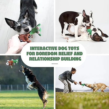 Double Headed Squeaky Dog Toy