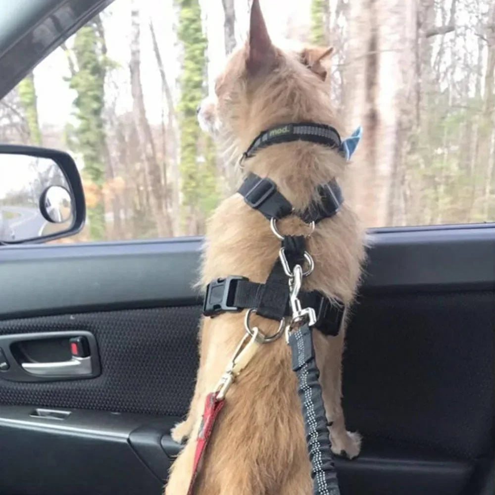 Retractable Elastic Pet Safety Car Seat Belt