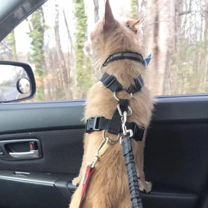 Retractable Elastic Pet Safety Car Seat Belt