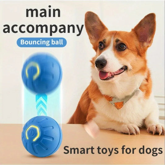 Pet Electric Charging Bouncy Ball