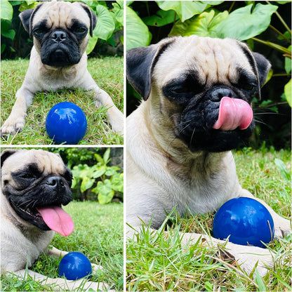 Durable SuperChewy Dog Toy