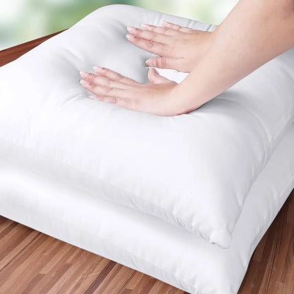 Pack of 2 White Throw Pillow Inserts
