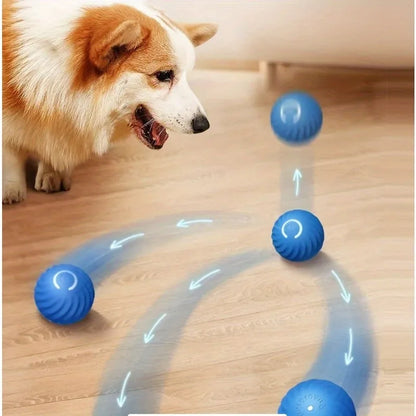 Pet Electric Charging Bouncy Ball