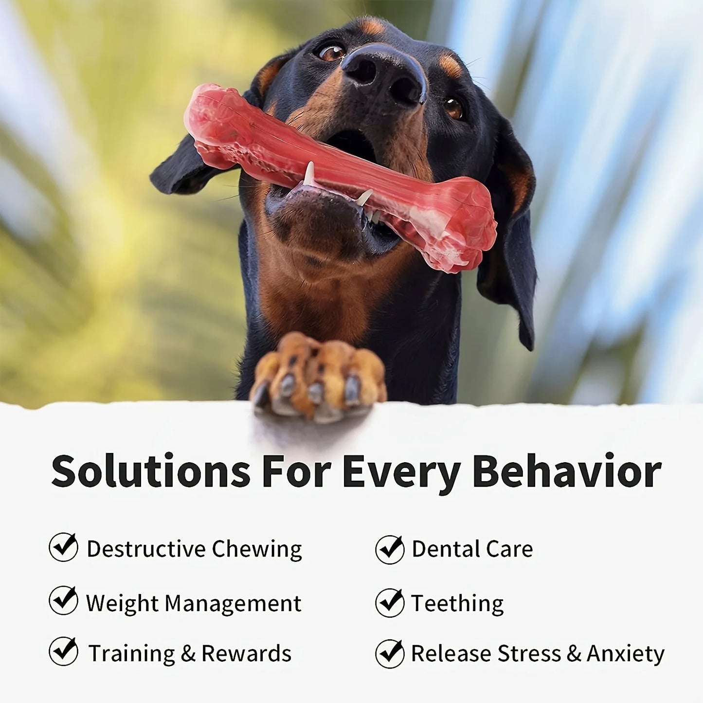 Durable Dog Chewing/Cleaning Toys