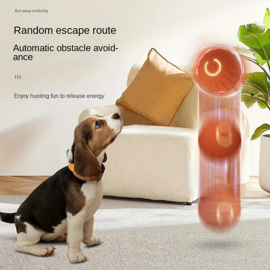 Pet Electric Charging Bouncy Ball
