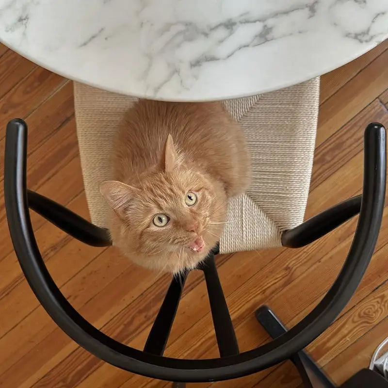 Black Stained Wishbone Counter Stool