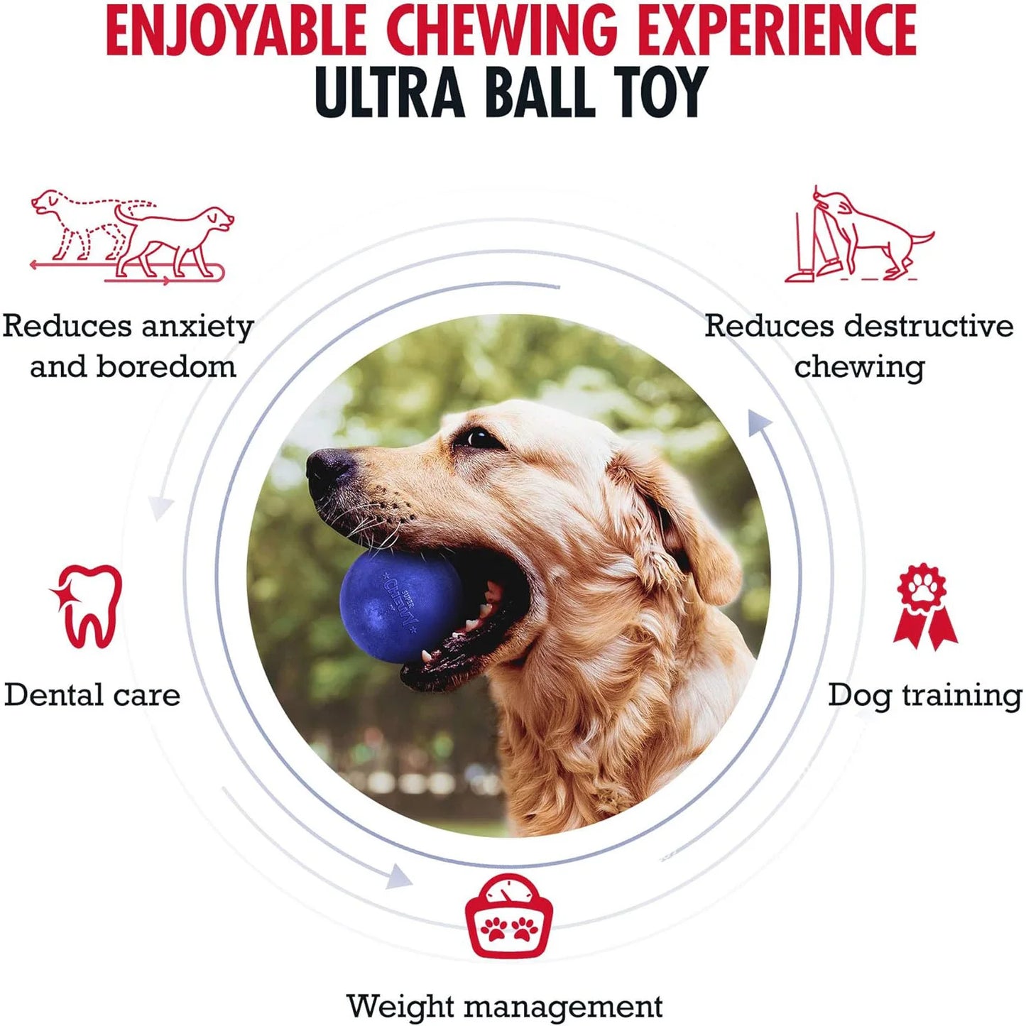 Durable SuperChewy Dog Toy