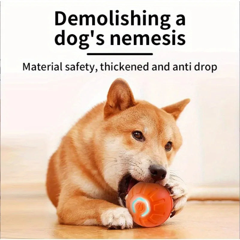 Pet Electric Charging Bouncy Ball